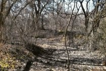 XIXth corps winter line